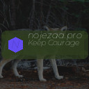 nojezaa.pro